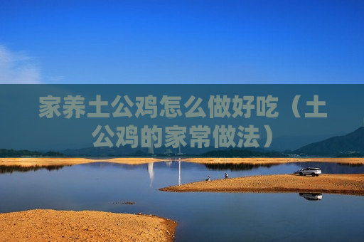 家养土公鸡怎么做好吃（土公鸡的家常做法）