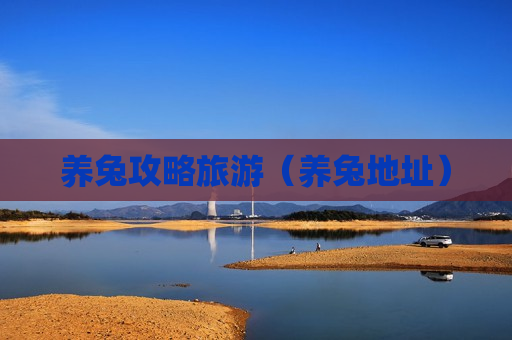 养兔攻略旅游（养兔地址）