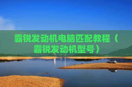 霸锐发动机电脑匹配教程（霸锐发动机型号）