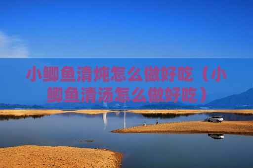 小鲫鱼清炖怎么做好吃（小鲫鱼清汤怎么做好吃）