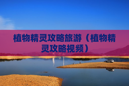 植物精灵攻略旅游（植物精灵攻略视频）