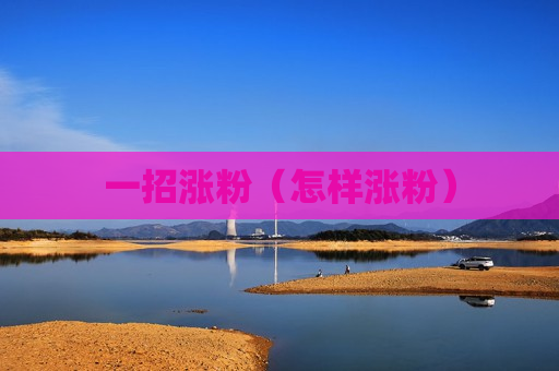 一招涨粉（怎样涨粉）