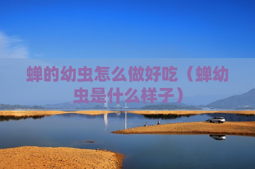 蝉的幼虫怎么做好吃（蝉幼虫是什么样子）
