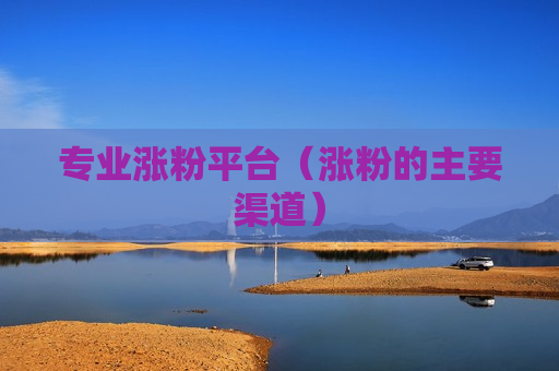 专业涨粉平台（涨粉的主要渠道）