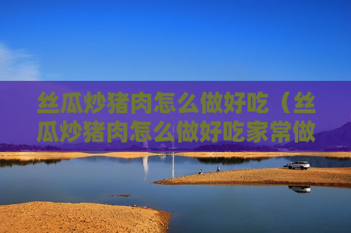 丝瓜炒猪肉怎么做好吃（丝瓜炒猪肉怎么做好吃家常做法）