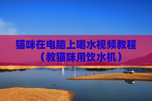 猫咪在电脑上喝水视频教程（教猫咪用饮水机）