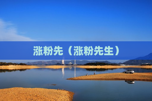 涨粉先（涨粉先生）
