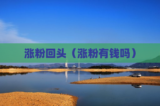涨粉回头（涨粉有钱吗）