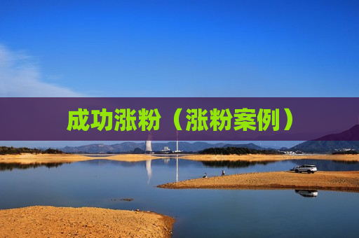 成功涨粉（涨粉案例）