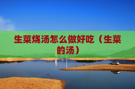 生菜烧汤怎么做好吃（生菜的汤）