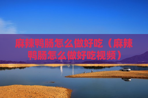 麻辣鸭肠怎么做好吃（麻辣鸭肠怎么做好吃视频）