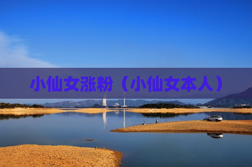 小仙女涨粉（小仙女本人）