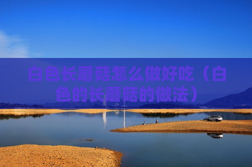 白色长蘑菇怎么做好吃（白色的长蘑菇的做法）
