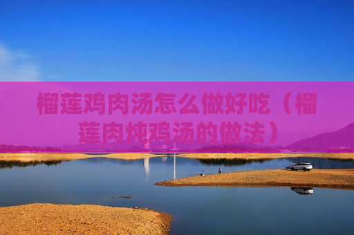 榴莲鸡肉汤怎么做好吃（榴莲肉炖鸡汤的做法）
