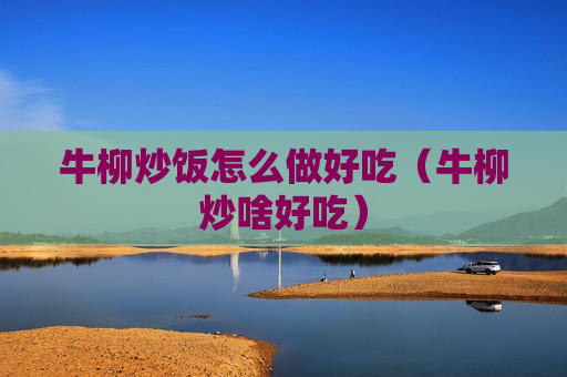 牛柳炒饭怎么做好吃（牛柳炒啥好吃）