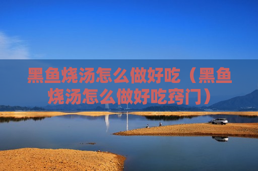 黑鱼烧汤怎么做好吃（黑鱼烧汤怎么做好吃窍门）