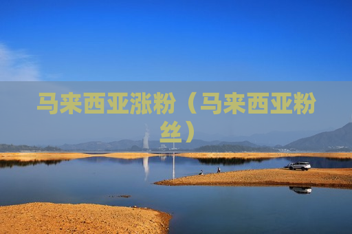马来西亚涨粉（马来西亚粉丝）