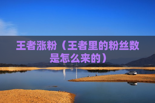 王者涨粉（王者里的粉丝数是怎么来的）