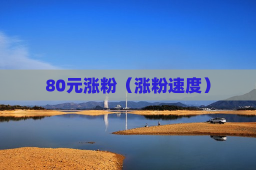 80元涨粉（涨粉速度）