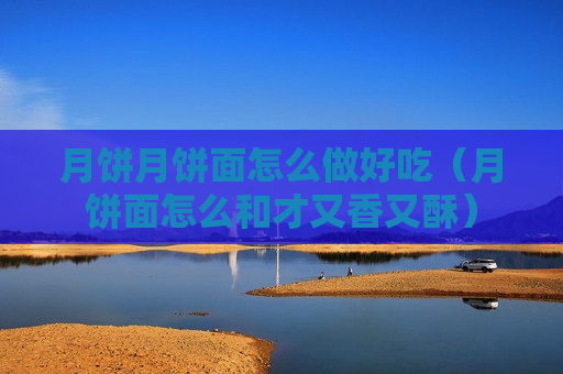 月饼月饼面怎么做好吃（月饼面怎么和才又香又酥）