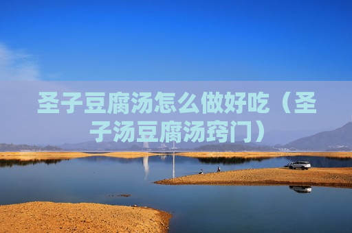 圣子豆腐汤怎么做好吃（圣子汤豆腐汤窍门）