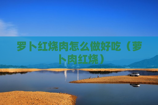 罗卜红烧肉怎么做好吃（萝卜肉红烧）