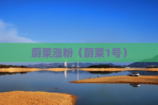 蔚莱涨粉（蔚莱1号）