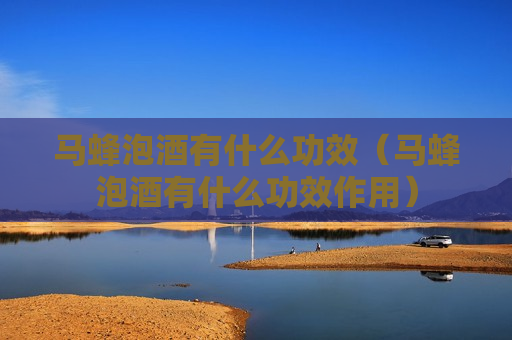 马蜂泡酒有什么功效（马蜂泡酒有什么功效作用）