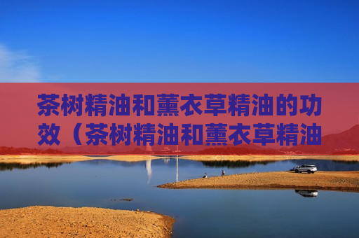 茶树精油和薰衣草精油的功效（茶树精油和薰衣草精油能混合直接涂脸上吗）