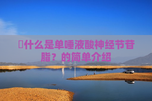 ​什么是单唾液酸神经节苷脂？的简单介绍