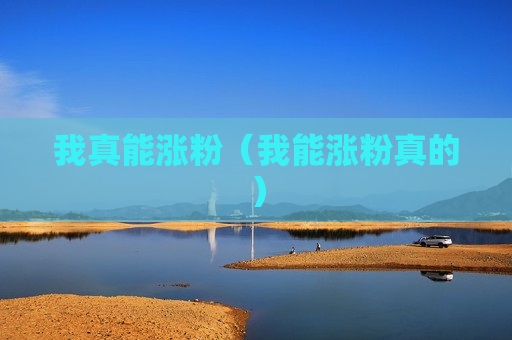 我真能涨粉（我能涨粉真的）