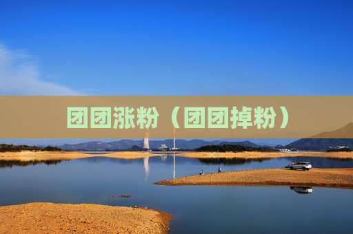 团团涨粉（团团掉粉）
