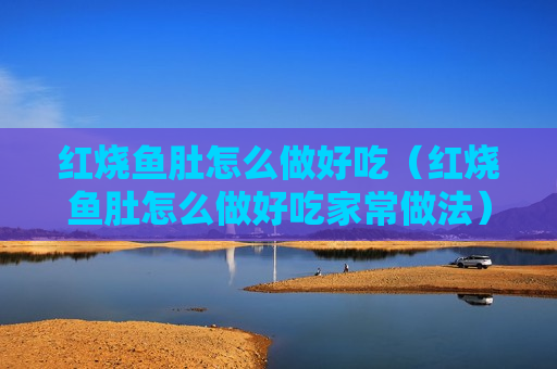 红烧鱼肚怎么做好吃（红烧鱼肚怎么做好吃家常做法）