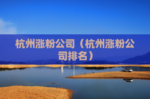 杭州涨粉公司（杭州涨粉公司排名）