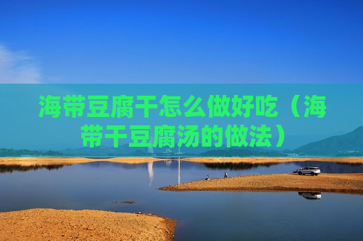海带豆腐干怎么做好吃（海带干豆腐汤的做法）