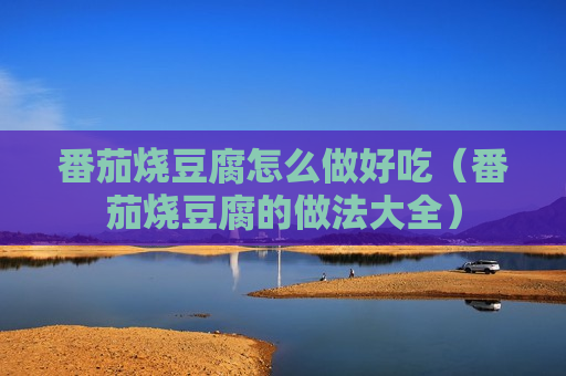 番茄烧豆腐怎么做好吃（番茄烧豆腐的做法大全）