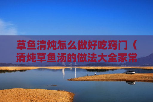 草鱼清炖怎么做好吃窍门（清炖草鱼汤的做法大全家常）