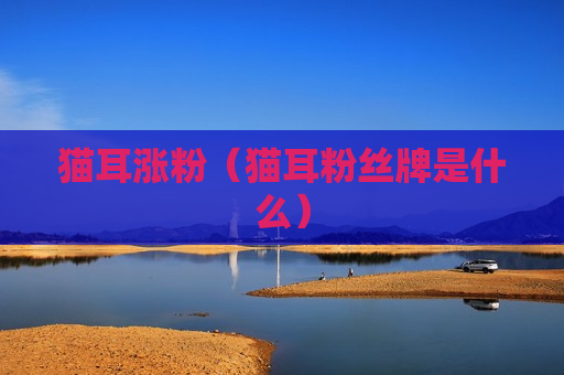 猫耳涨粉（猫耳粉丝牌是什么）