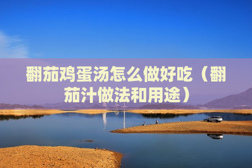 翻茄鸡蛋汤怎么做好吃（翻茄汁做法和用途）