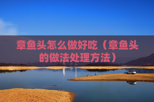 章鱼头怎么做好吃（章鱼头的做法处理方法）