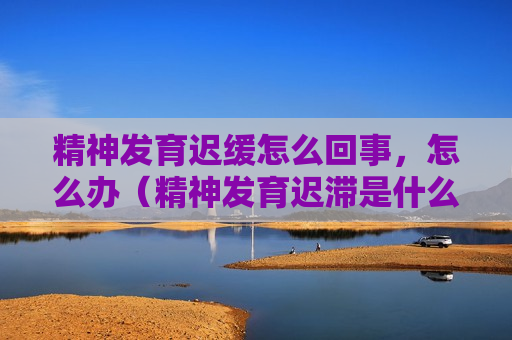 精神发育迟缓怎么回事，怎么办（精神发育迟滞是什么原因引起的）
