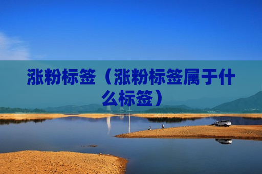 涨粉标签（涨粉标签属于什么标签）