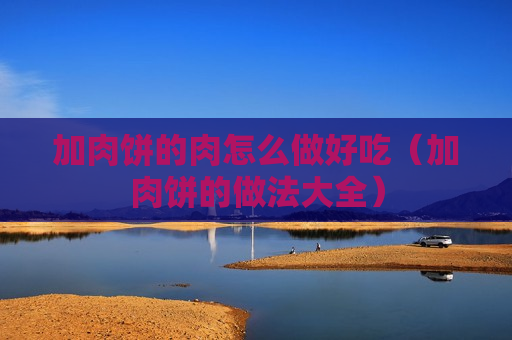 加肉饼的肉怎么做好吃（加肉饼的做法大全）