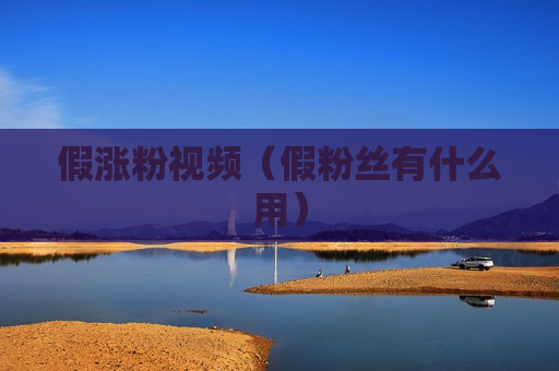 假涨粉视频（假粉丝有什么用）