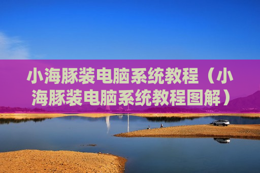 小海豚装电脑系统教程（小海豚装电脑系统教程图解）