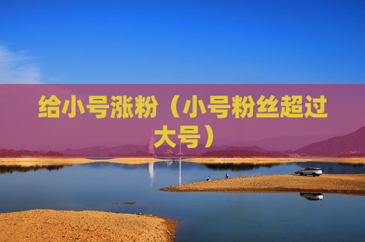 给小号涨粉（小号粉丝超过大号）
