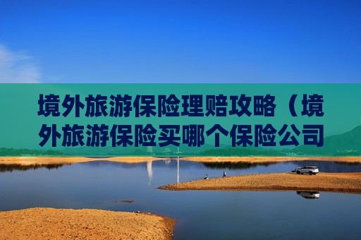 境外旅游保险理赔攻略（境外旅游保险买哪个保险公司）