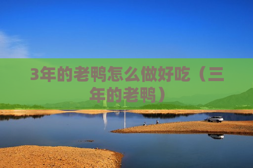 3年的老鸭怎么做好吃（三年的老鸭）