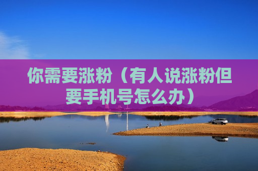 你需要涨粉（有人说涨粉但要手机号怎么办）