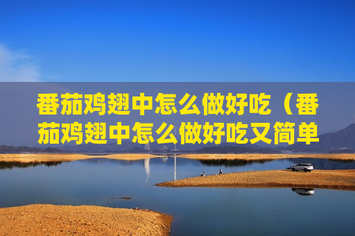 番茄鸡翅中怎么做好吃（番茄鸡翅中怎么做好吃又简单）